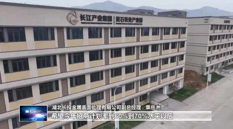 湖北黄石武汉电镀产业园厂房出租，省厅批复指标大胆来