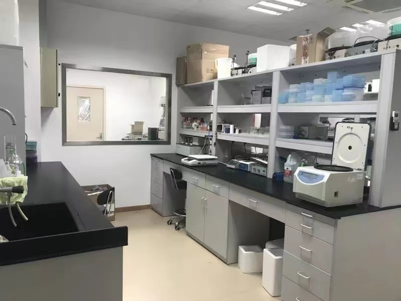 张江科学城金桥外高桥！生物细胞分子P2 PCR实验拎包入驻 