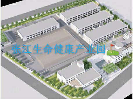 张江品域生佳园区 独栋3300平米 共三层适合研发检测办公等