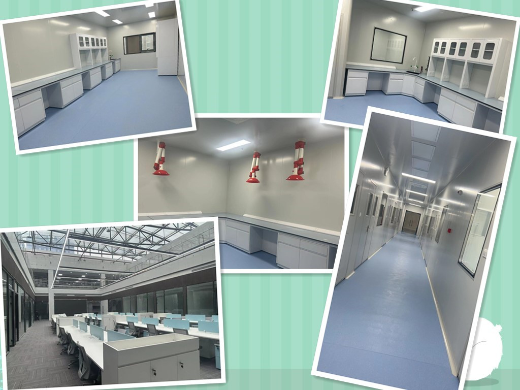 上海细胞基因治疗研发实验室租赁 