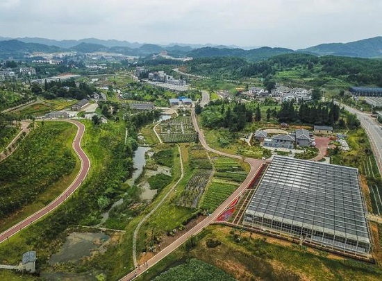 南方最大中医药产业园和中医药材流通中心将落户贵阳乌当区