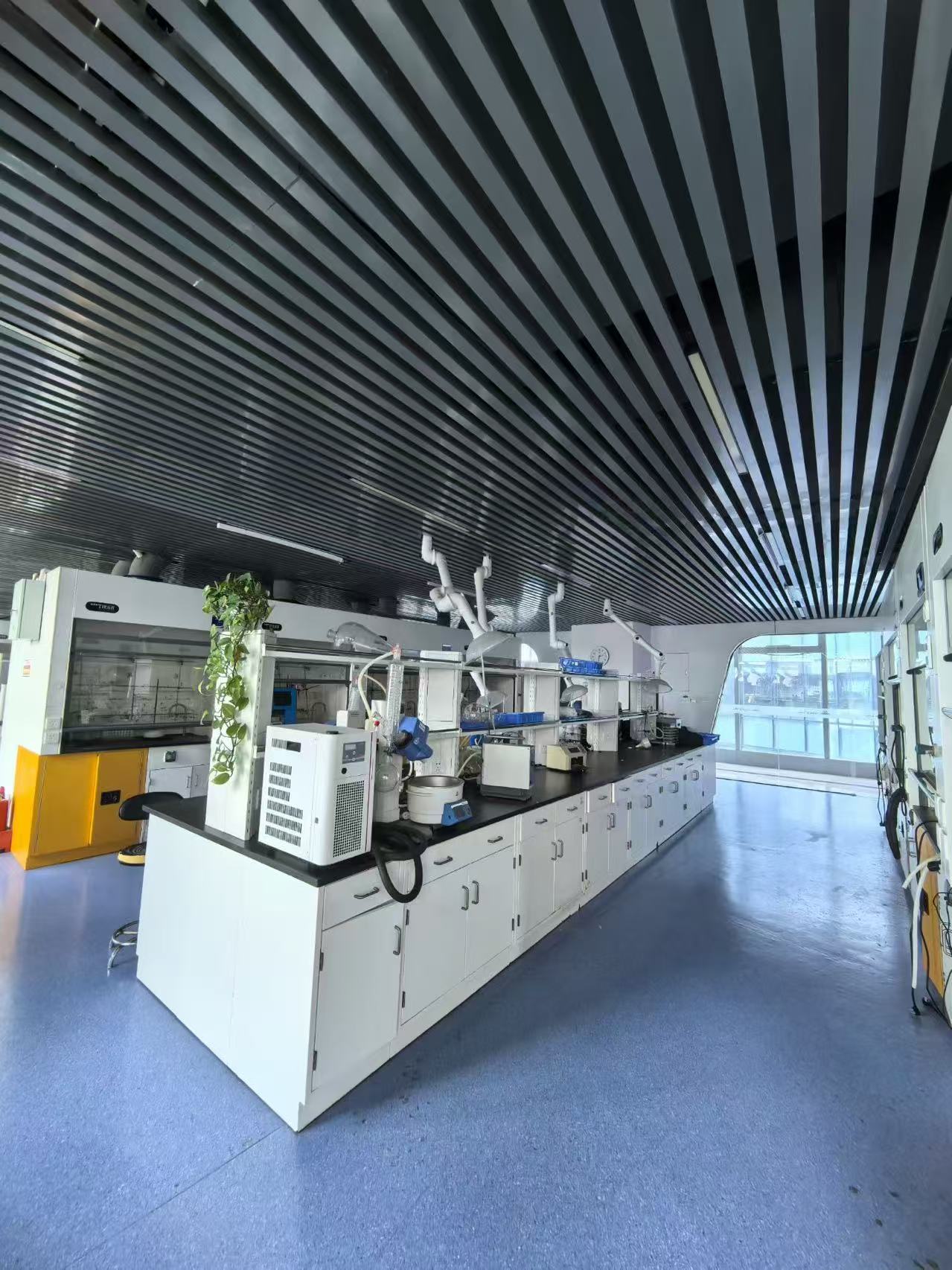 出租上海闵行交大附近带装修1500平化学实验室有32台通风橱