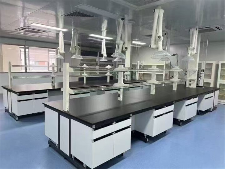 张江药谷核心区《精装P2实验室出租》