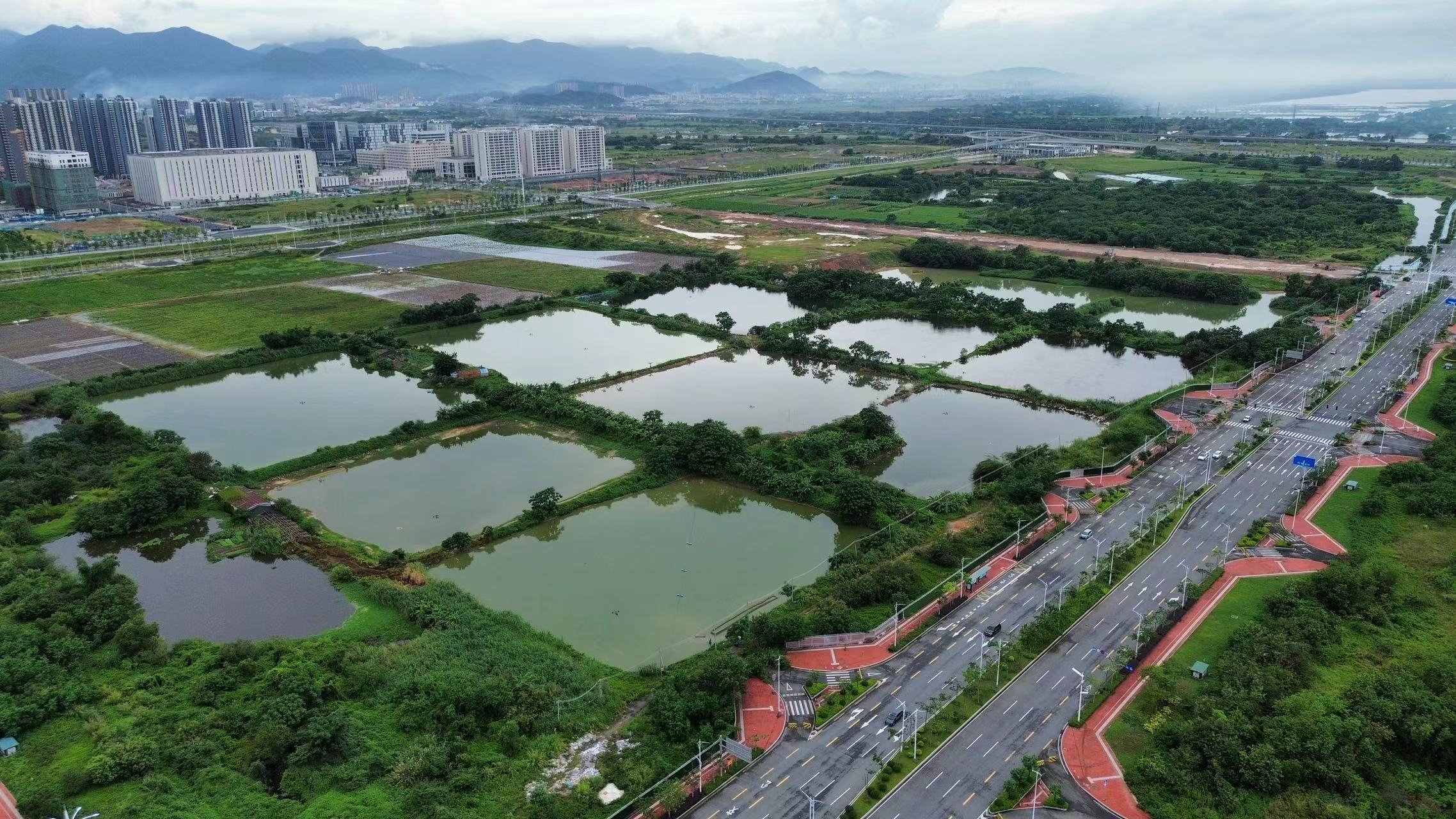 惠州仲恺高新区一手工业用地